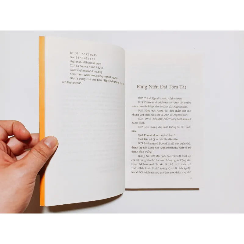 Khuôn Mặt Bị Đánh Cắp 753511