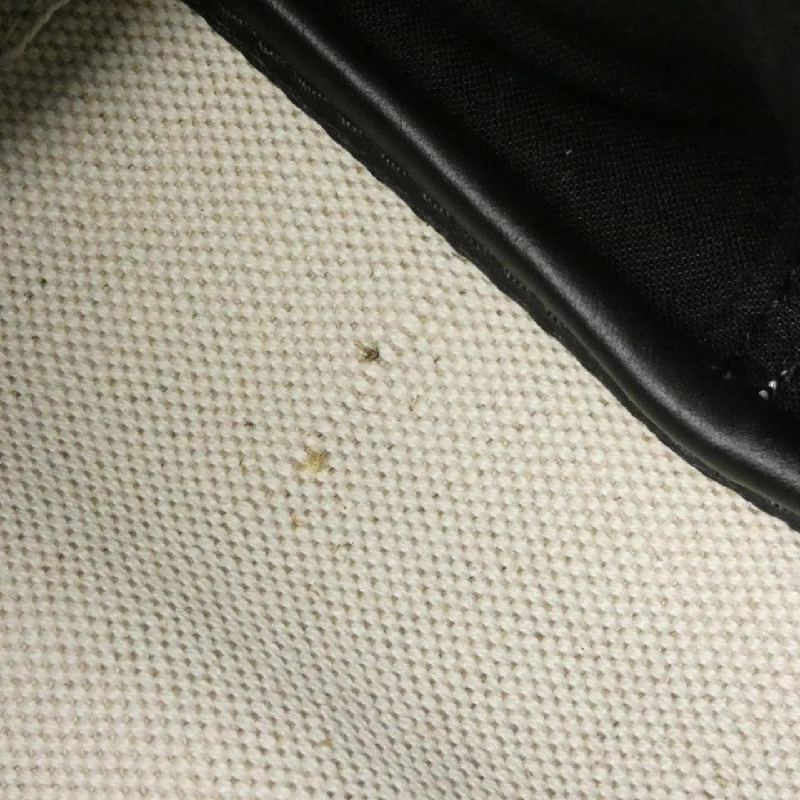 Balenciaga Túi Navy Cabas S 339933 2HH3N - Hàng hiệu Chính hãng 764998