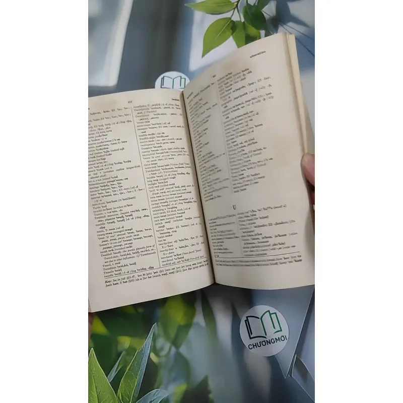 [MIỄN PHÍ BỌC SÁCH] [XƯA] A Pronouncing Dictionary Of American English (1953) 990529