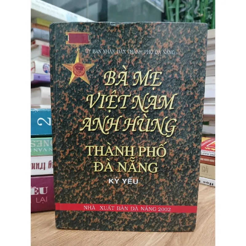 Bà mẹ Việt Nam anh hùng - Đà Nẵng – Thành phố anh hùng – (UBND Thành phố Đà Nẵng biên soạn) 589565