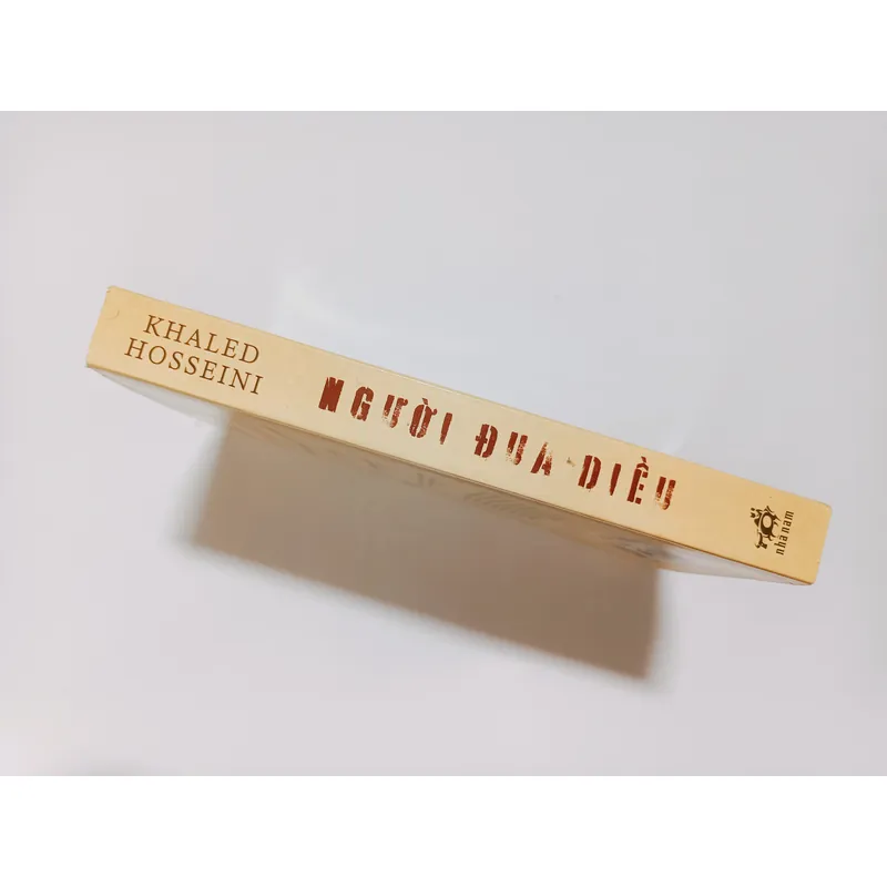 Người Đua Diều 713480