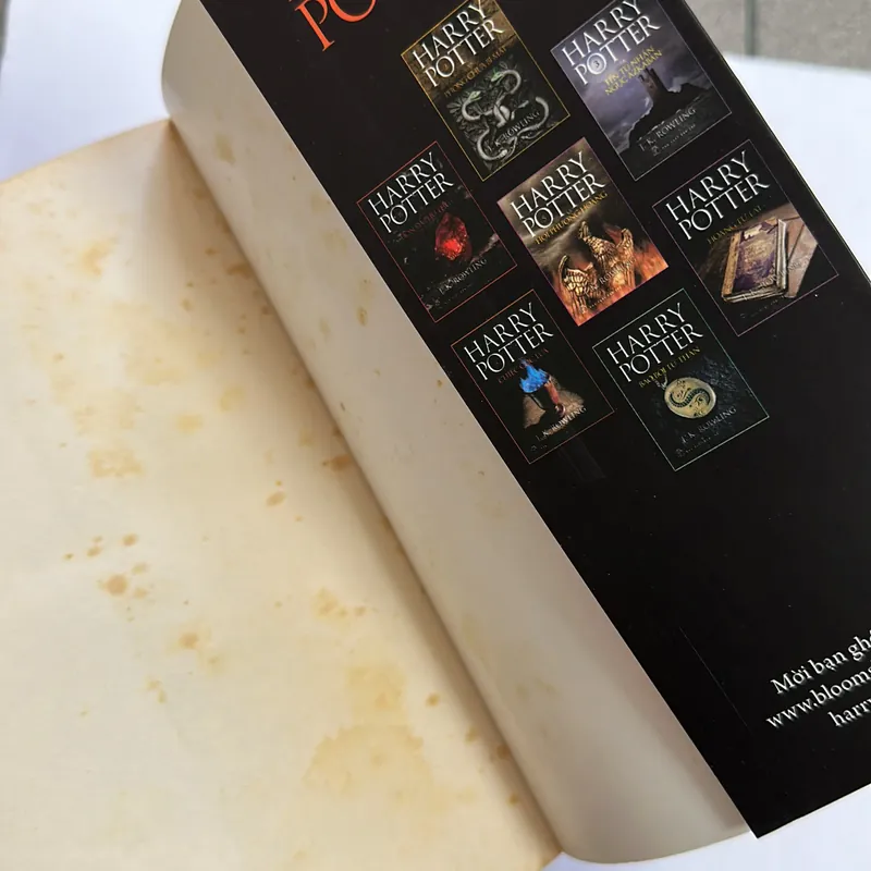 Harry Potter và Chiếc Cốc Lửa (Tập 4)– J.K. Rowling 597165