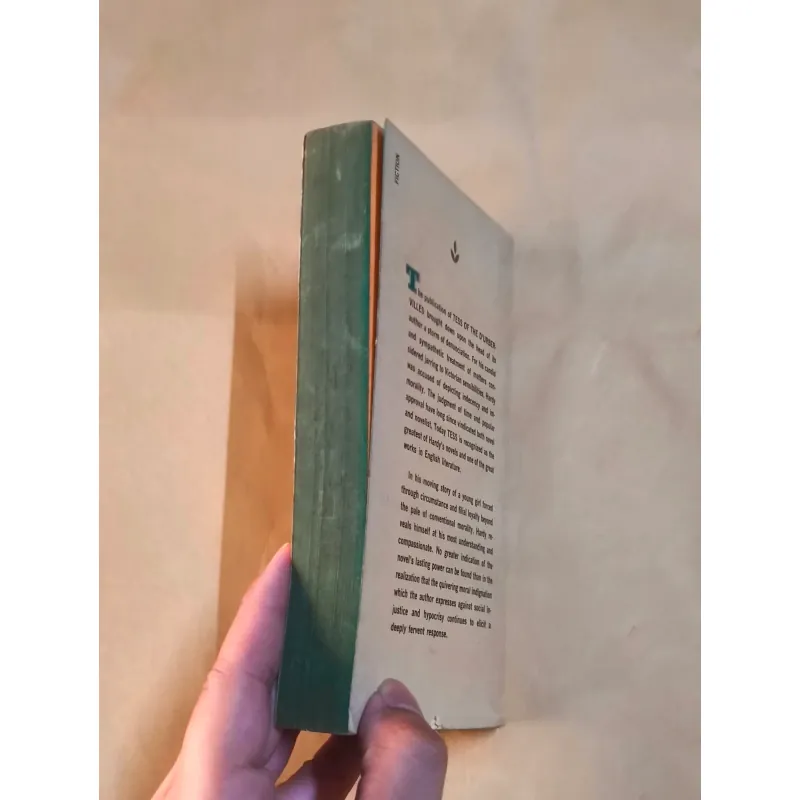 Tess of the D’Urbervilles - Thomas Hardy 999831