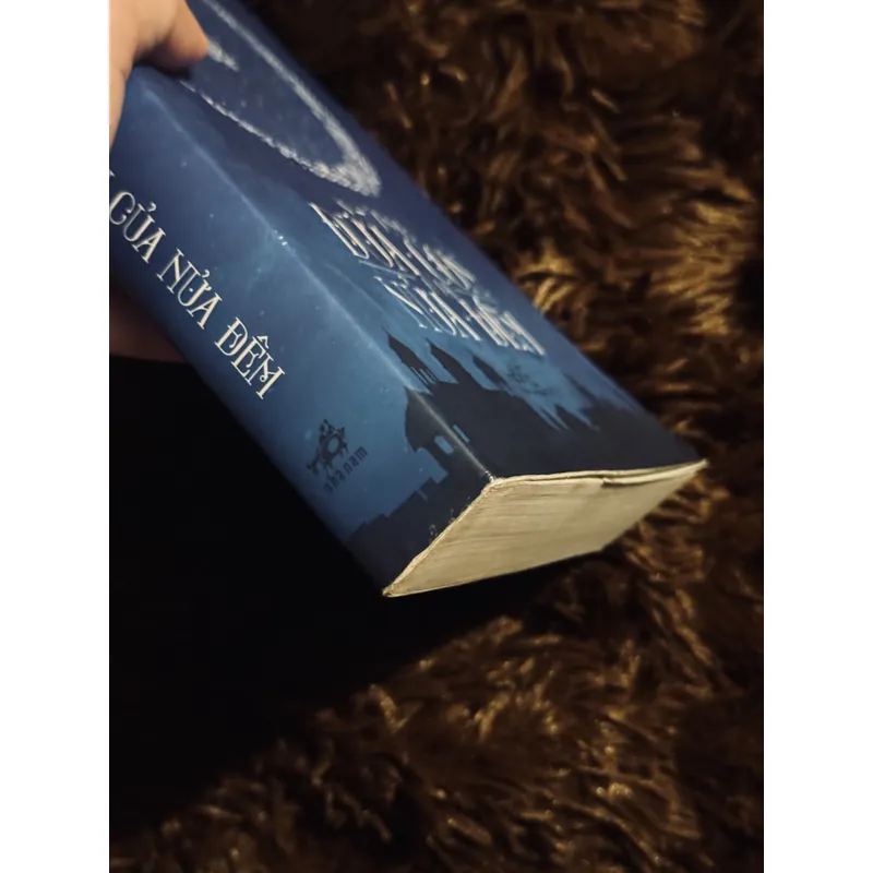 Những đứa con của nửa đêm 720007