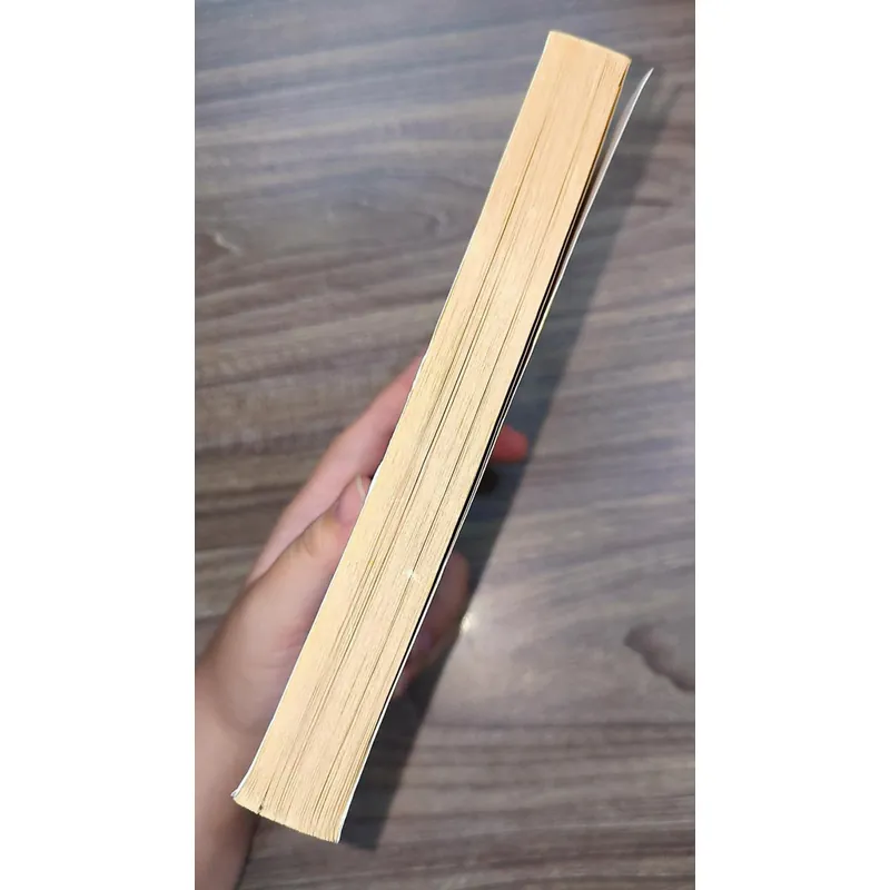 Jeanne Birdsall - The Penderwicks 723272