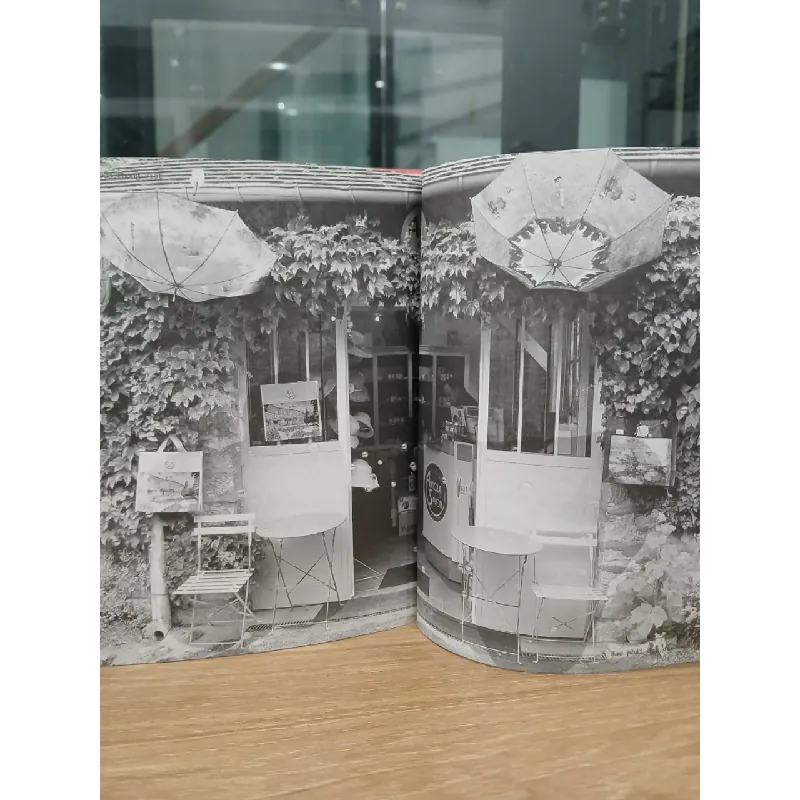 Sao phải đau đến như vậy – Nguyễn Phong Việt (Saigon Books) 560862