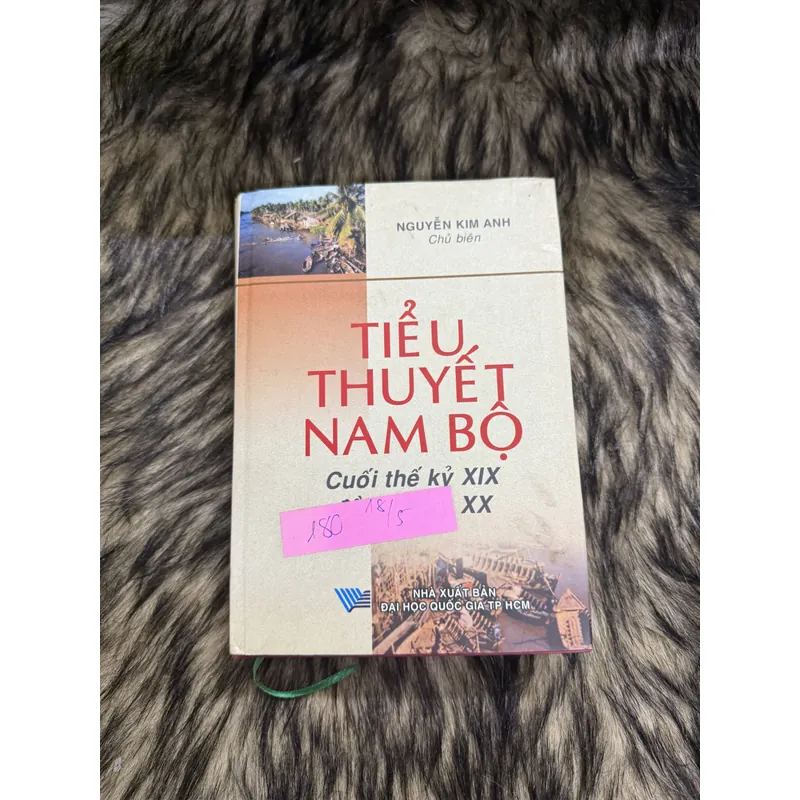Tiểu thuyết Nam Bộ  599664