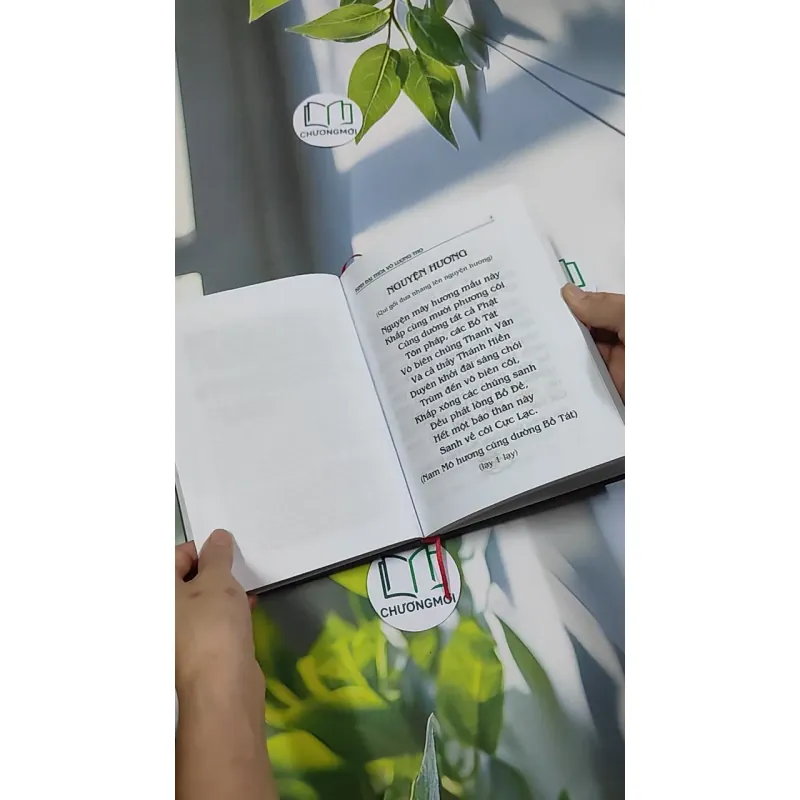 Đại Thừa Vô Lượng Thọ Trang Nghiêm Thanh Tịnh Bình Đẳng Giác Kinh - HT. Thích Đức Niệm 750812