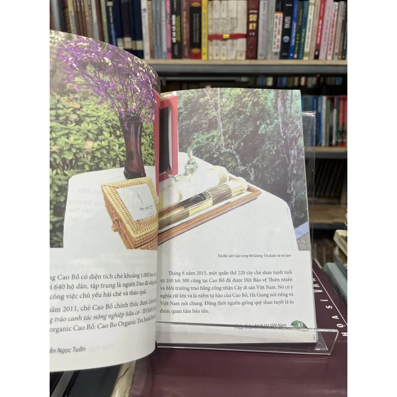 PHÁC THẢO DANH TRÀ VIỆT NAM 701044