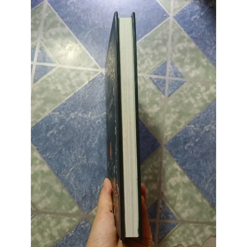 Nếu Biết Trăm Năm Là Hữu Hạn ( bản đặc biệt) - Phạm Lữ Ân 1018770