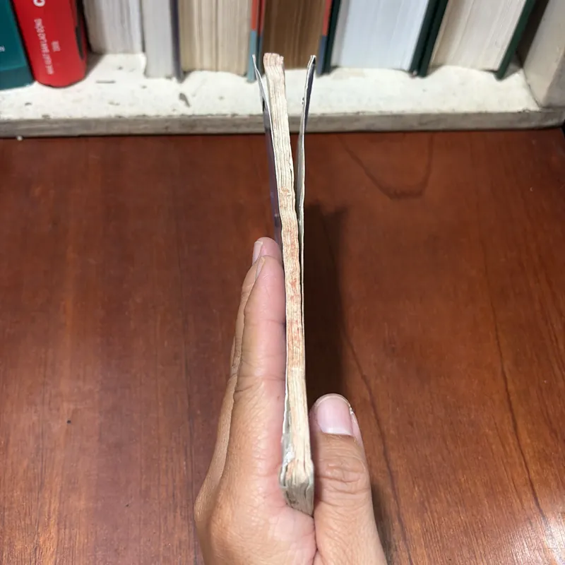 II Sách Thiếu Nhi: Nắng Phương Nam - Trần Hoài Dương - 1998 722491