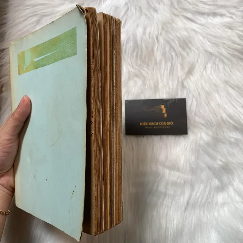 Văn hoá Việt Nam tổng hợp 1989 – 1995 (Memento) 790330