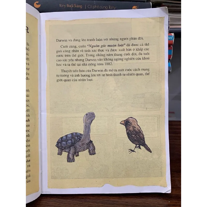 Cậu bé thực hiện ước mơ bằng sự tập trung và kiên trì- Charles Darwin 699211