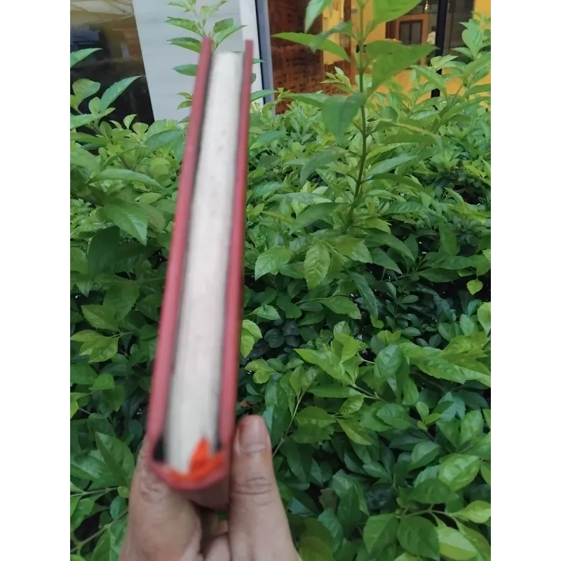 Robinson Crusoe của Daniel Defoe 974356