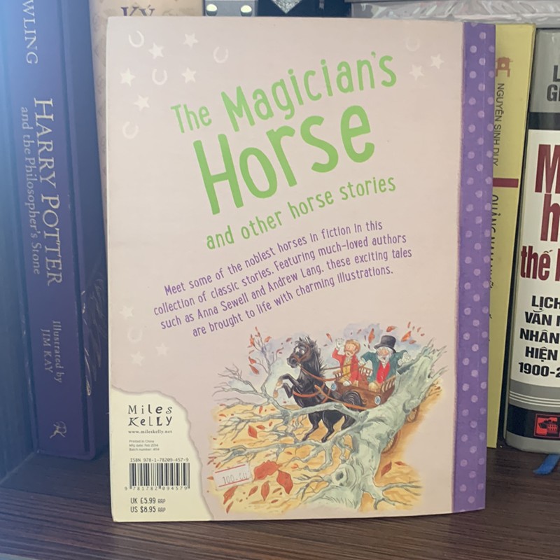 The Magicians Horse-Belinda Gallagher 164295