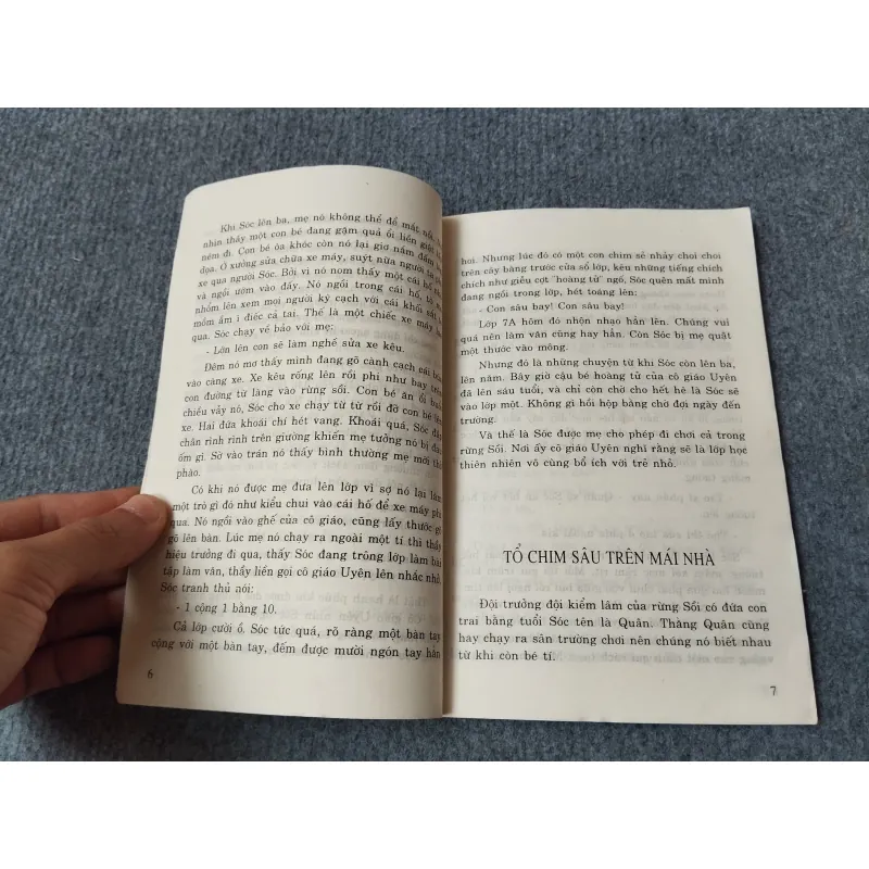 CHUYỆN Ở RỪNG SỒI 717901