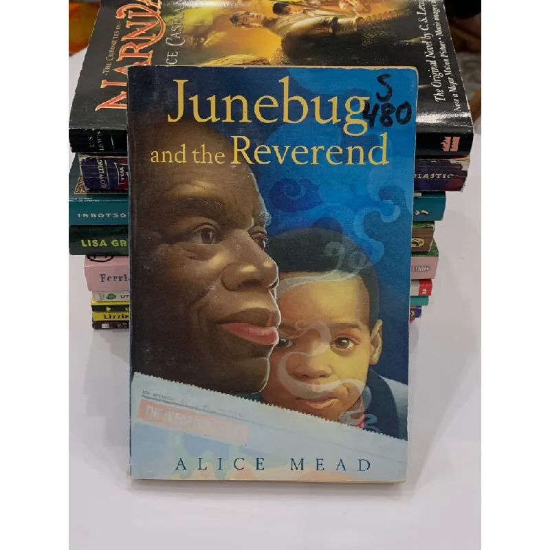 Junebug and the Reverend – Alice Mead 559629