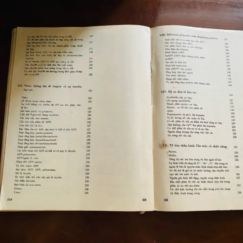 Sinh hoá học hiện đại theo sơ đồ  968702