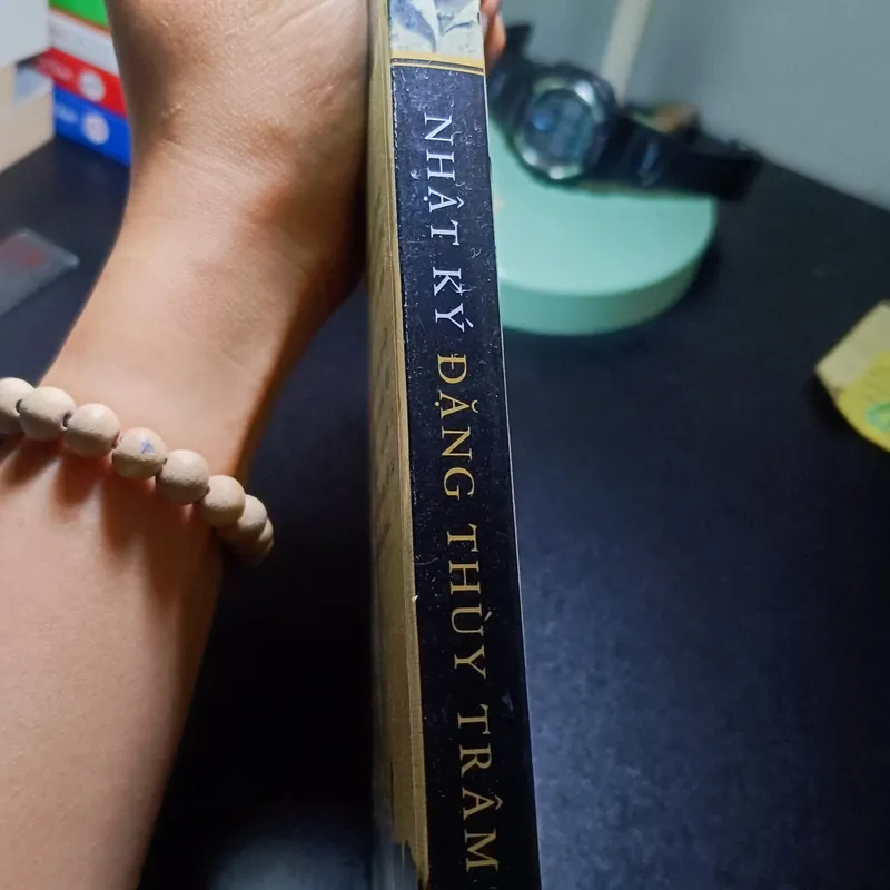 Nhật Kí Đặng Thùy Trâm  662329