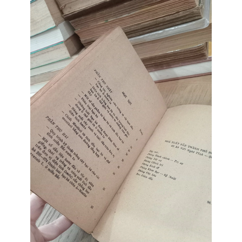 CÂY BẠC HÀ - ĐỖ TẤT LỢI 165502