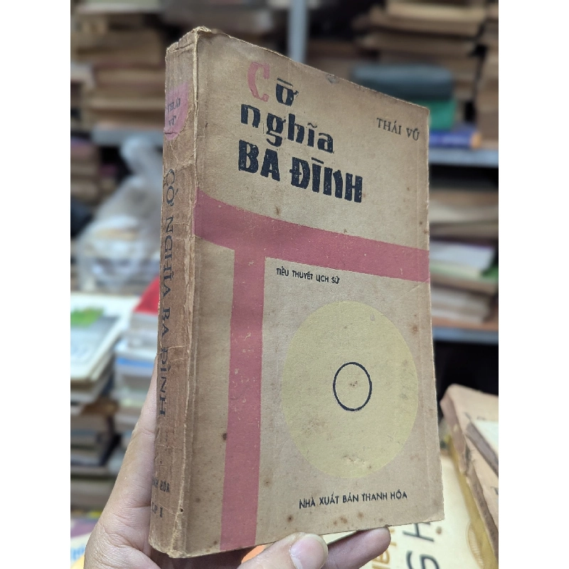 Cờ nghĩa ba đình - Thái Vũ 174690