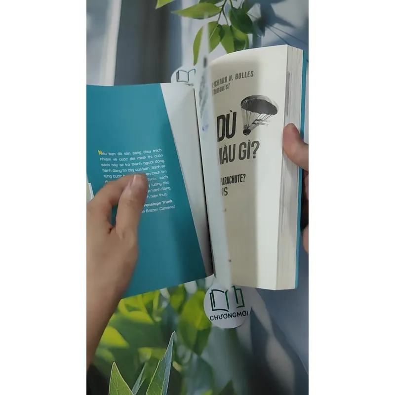 Chiếc Dù Của Bạn Màu Gì? - Richard N. Bolles 961159