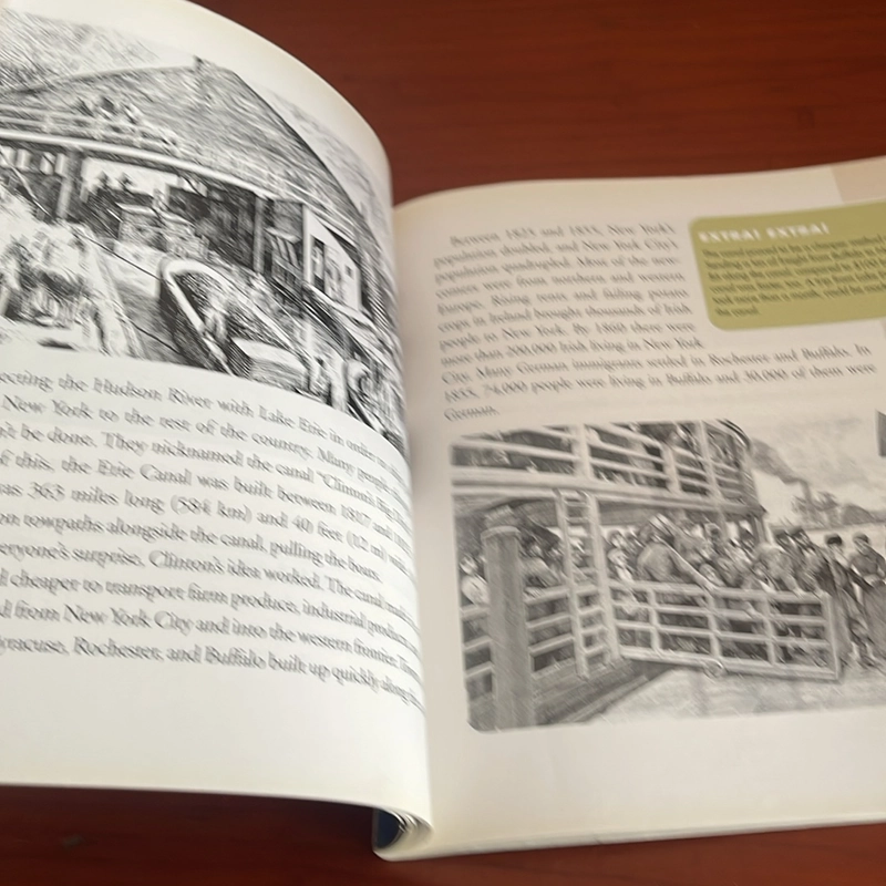 PICTURE BOOK From sea to shining sea New York 536738