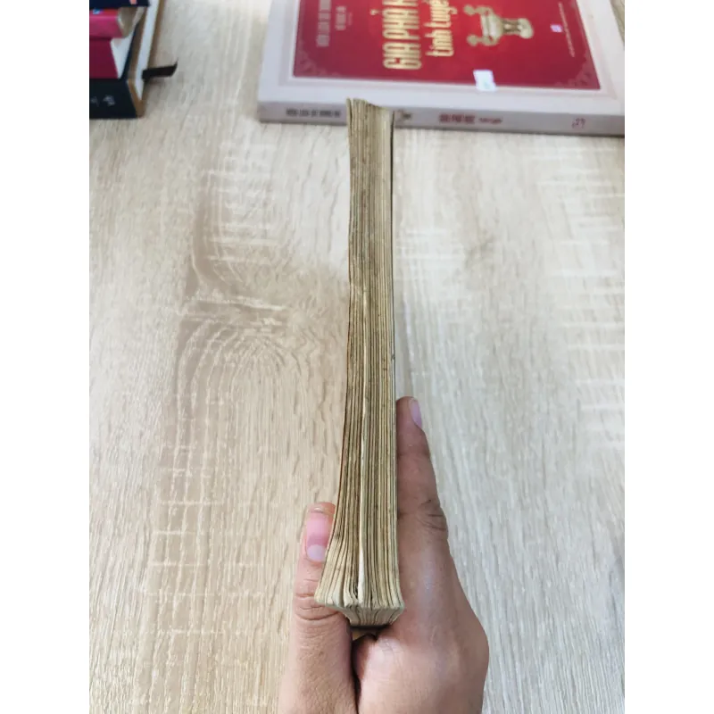 Mặt trận Đông Bắc Sài Gòn (ký sự) – Nam Hà 929192