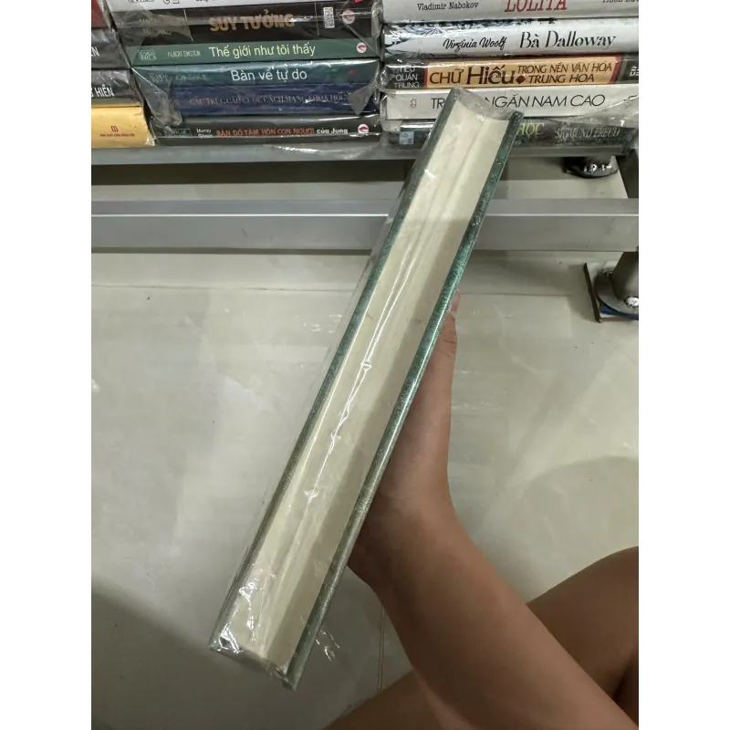 Đới Đăng - Giả Bình Ao (Bìa cứng) 575446