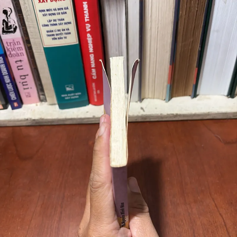 II Hôn Nhân: Hôn Nhân Gia Đình Trong Xã Hội Hiện Đại - TS Nguyễn Minh Hoà - 2000 748237