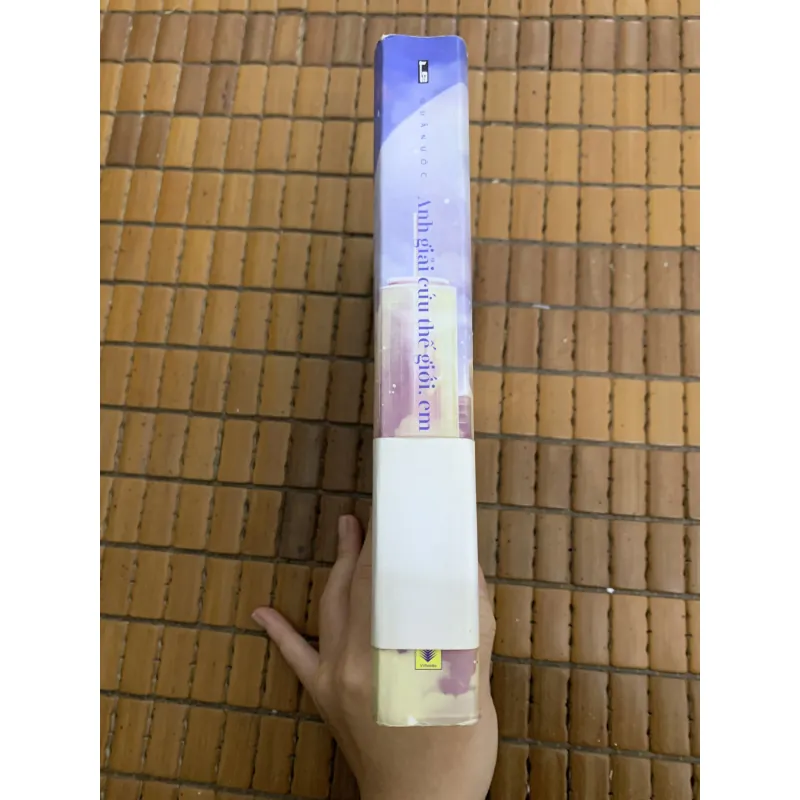 Phồn Giản - Anh giải cứu thế giới, em đến bảo vệ anh (Quân Ước) 957516