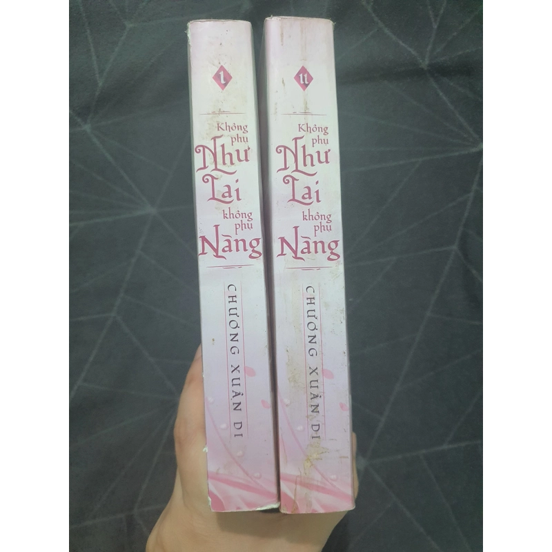 Combo "Bất phụ như lai bất phụ khanh" 2 tập - Chương Xuân Dị 470435