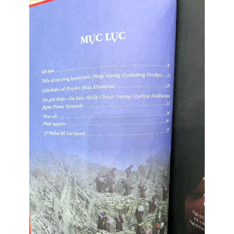 37 Phẩm Bồ Tát Hạnh - Đức Pháp Vương Gyalwang Drukpa 934278