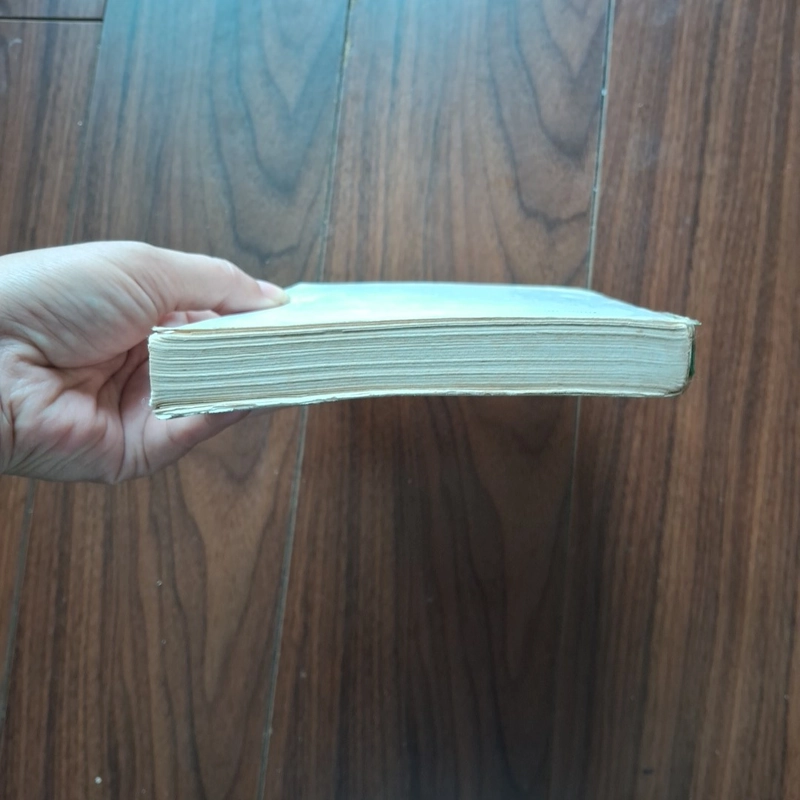 Những người thích đùa  504977