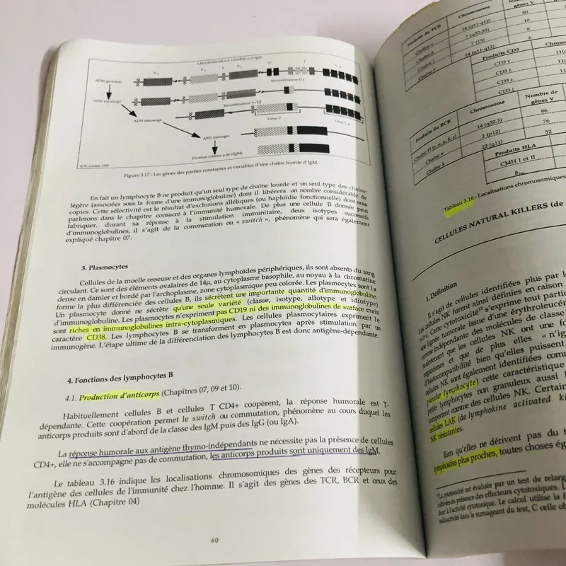 📘 IMMUNOLOGIE – Norbert Gualde Sách khổ to, 270 trang, NXB: 2000  593722
