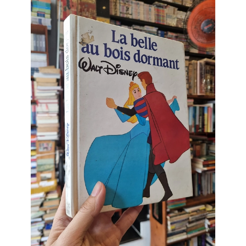 La belle au bois dormant (Walt Disney) 352992