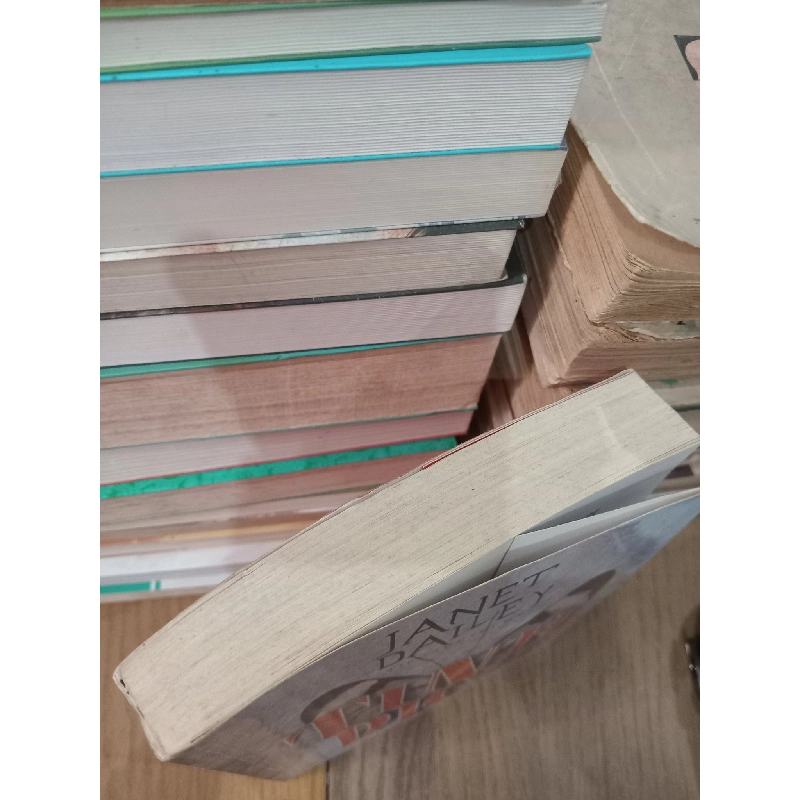 Tình địch - Janet Dailey 929115