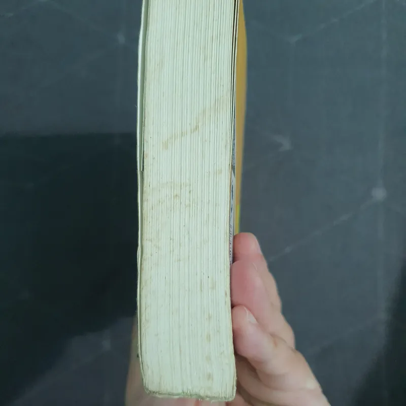 "Trâm tập 4: Chim liền cành" - Châu Văn Văn 497222