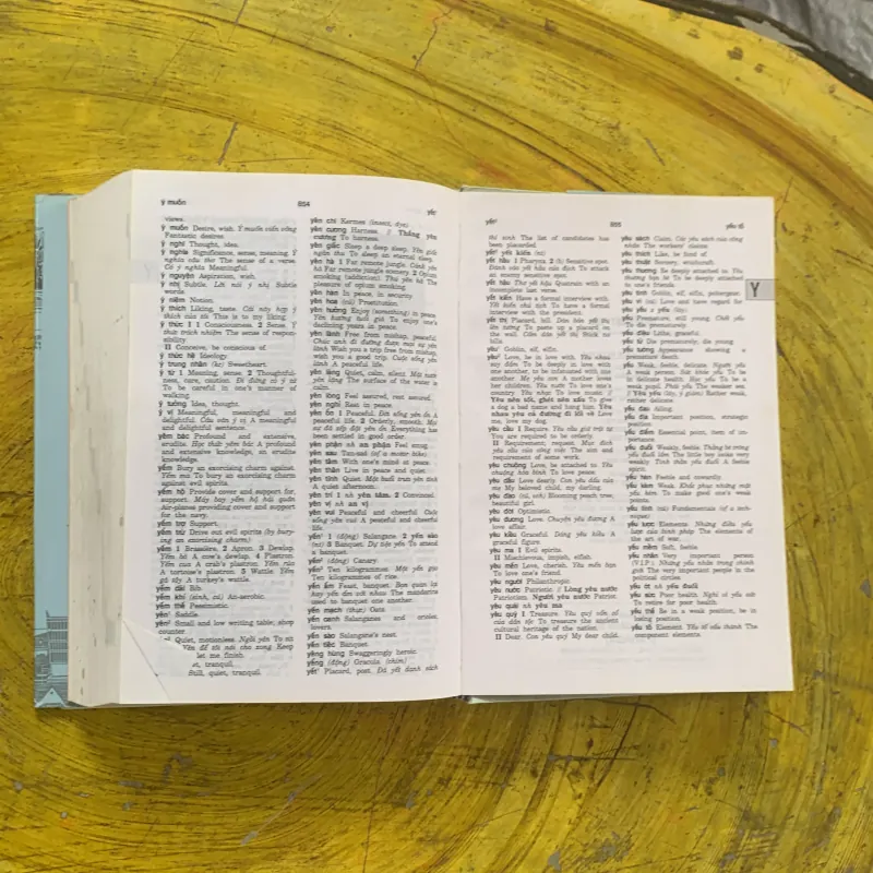 TỪ ĐIỂN VIỆT- ANH Vietnamese-English Dictionary  1022760