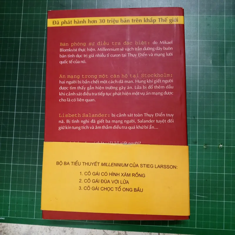 Cô gái đùa với lửa - Stieg Larsson 561693