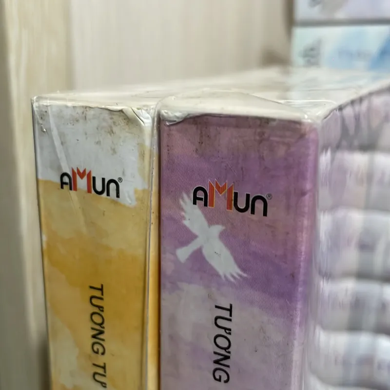 (ngôn tình) - Tương tư thành nắm tro tàn - Tuyết Ảnh Sương Hồn ( 2 tập ) 990931