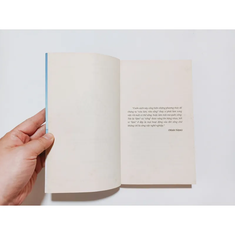 Làm Như Chơi - Minh Niệm 788457