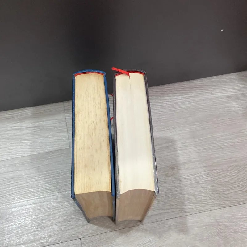 Meo Hoang của tác giả Đinh Măc 501488