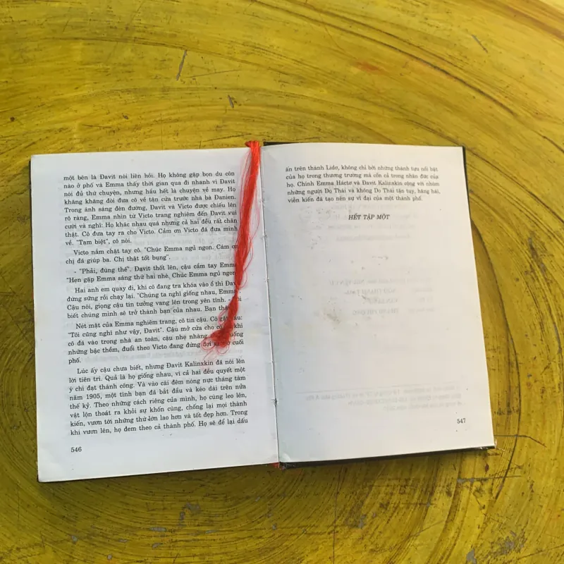 NGƯỜI ĐÀN BÀ ĐÍCH THỰC - trọn bộ hai tập- BARBARA TAYLOR BRADFORD 976601