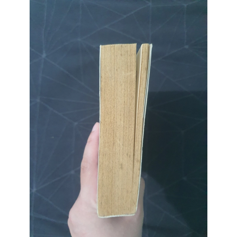 "Năm tháng là đóa lưỡng sinh hoa" - Đường Thất Công Tử 472187