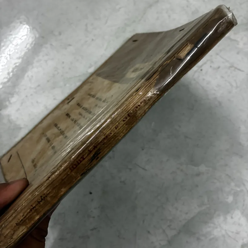 Jody và con hươu non 1031505