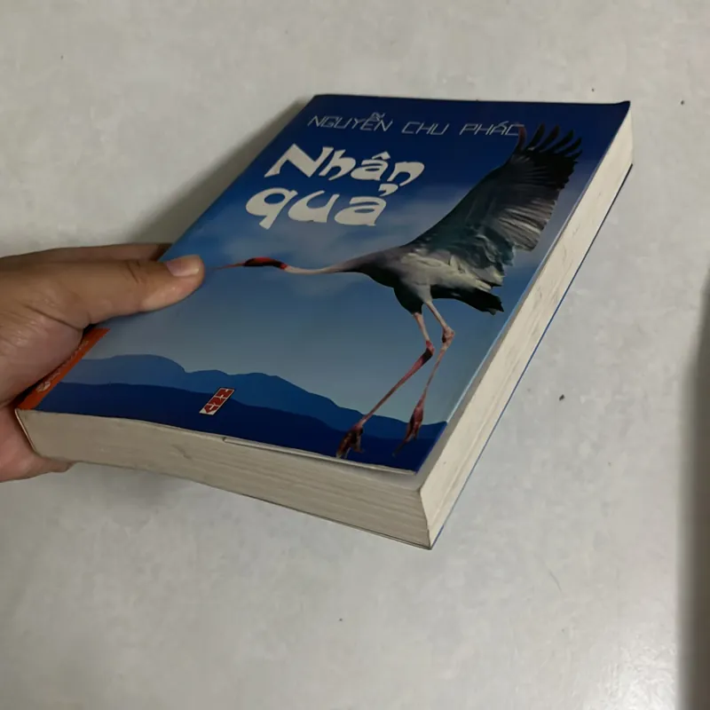 Nhân quả - Nguyễn Chu Phác 568639