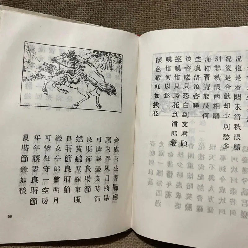 Văn học Việt Nam : Ngâm khúc  1022292