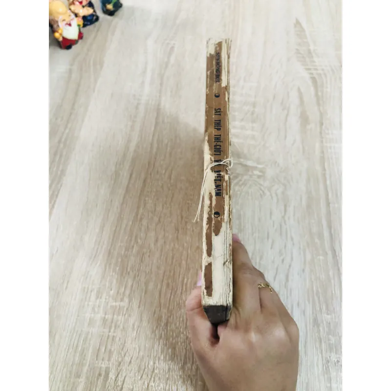 SẮT THÉP (THẾ GIỚI VÀ VIỆT NAM)  971718