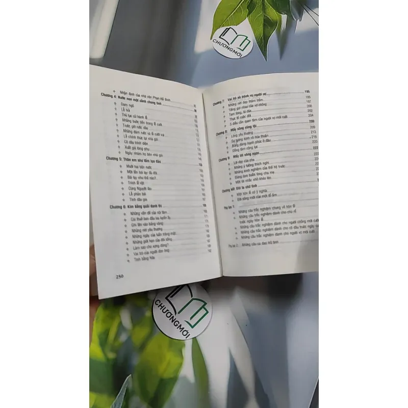 Dựng Vợ Gả Chồng - Hôn Lễ Và Nghi Thức - Phạm Côn Sơn 776172